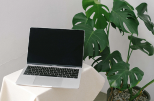 アドセンス審査通過後にやるべき初期設定を解説！タイトル変更のポイントは？