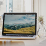 ブログ初心者は量と質のどちらを重要視すると稼ぎやすいのか？